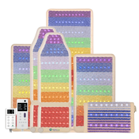 Thumbnail for Rainbow Chakra Series | PEMF Far Infrared Heating Mats